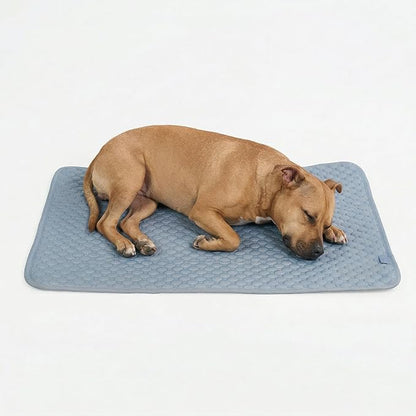 Spark Paws Cooling Mat for Dogs by SparkPaws