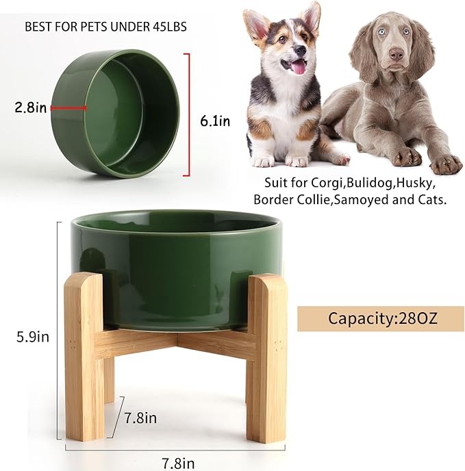 Petygooing 28 OZ Elevated/Raised Ceramic Dog Bowl - Image 3