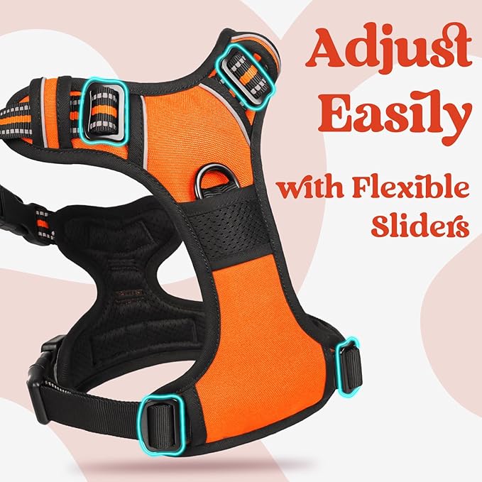 rabbitgoo Dog Harness Small Sized, No Pull Easy On & Off - Image 4