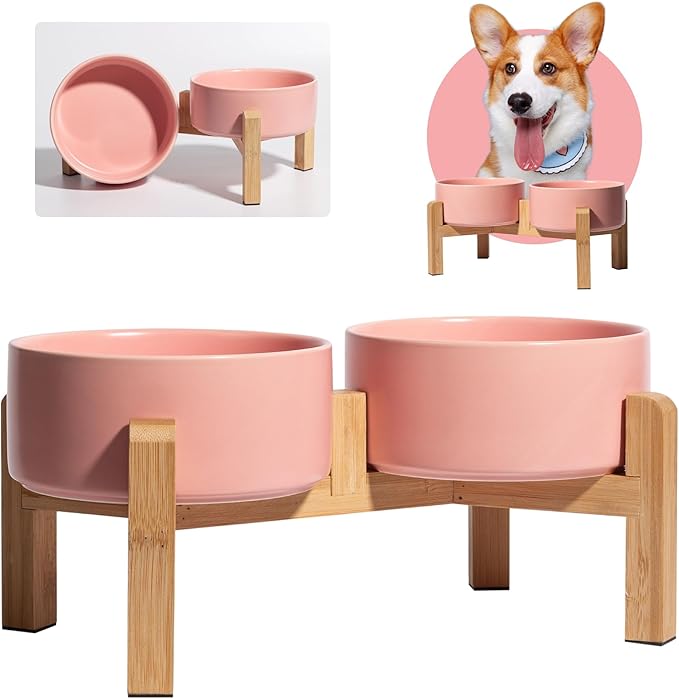 Elevated Ceramic Dog Bowl Set by PTOBER