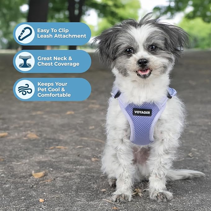 Best Pet Supplies Voyager Adjustable Step-in Flex Breathable Mesh Dog Harness - Image 2