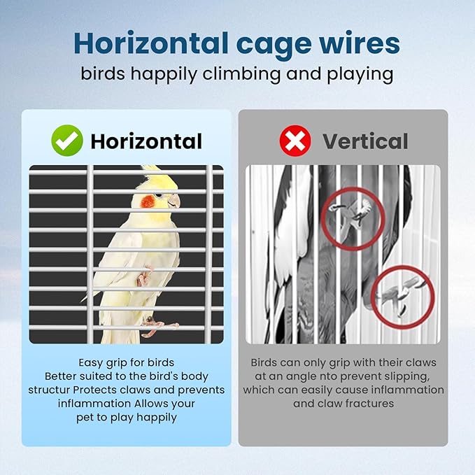 Travel Bird Carrier Cage, Transparent Parakeet Cage, Small Portable Bird Cage - Image 6