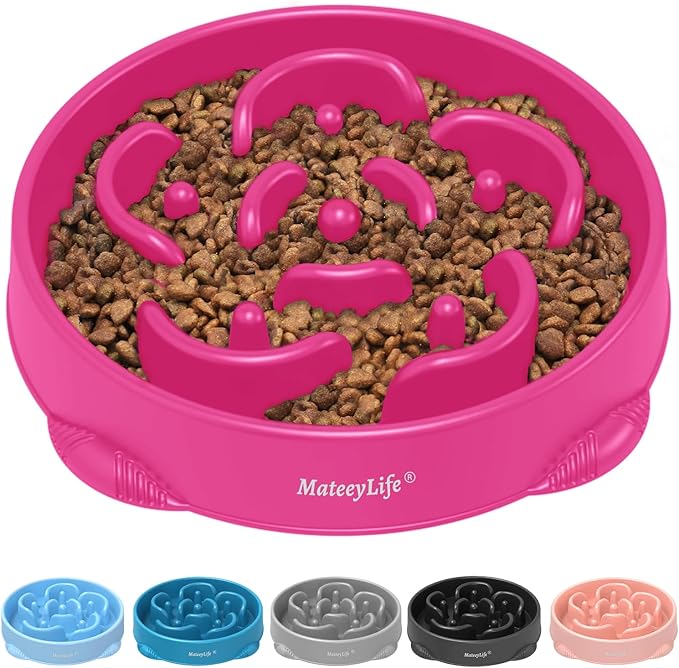 MateeyLife Large Slow Feeder Dog Bowls, Anti-Choking Puzzle Dog Food Bowls by MateeyLife