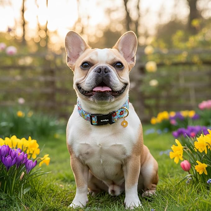 Dog Collar for Small Dogs, Spring &Summer Theme Dog Collars - Image 6