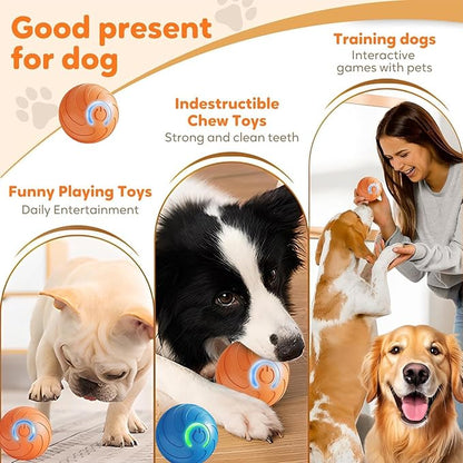 Smart jumping ball for dogs & Cats Duraspin Dog Bouncing Ball Random Path - Image 4