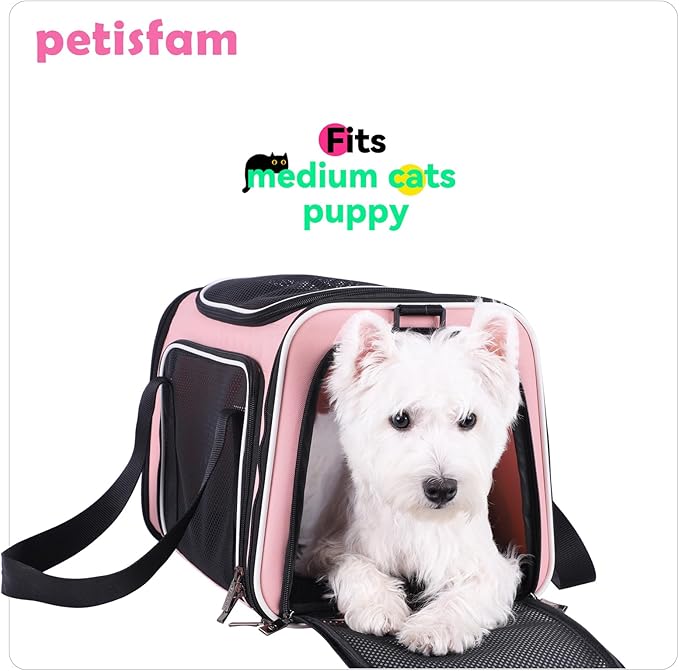 Soft Pet Carrier for Medium Cats and Small Dogs - Image 6