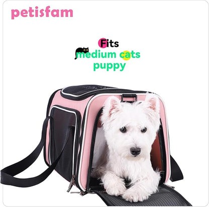 Soft Pet Carrier for Medium Cats and Small Dogs - Image 6