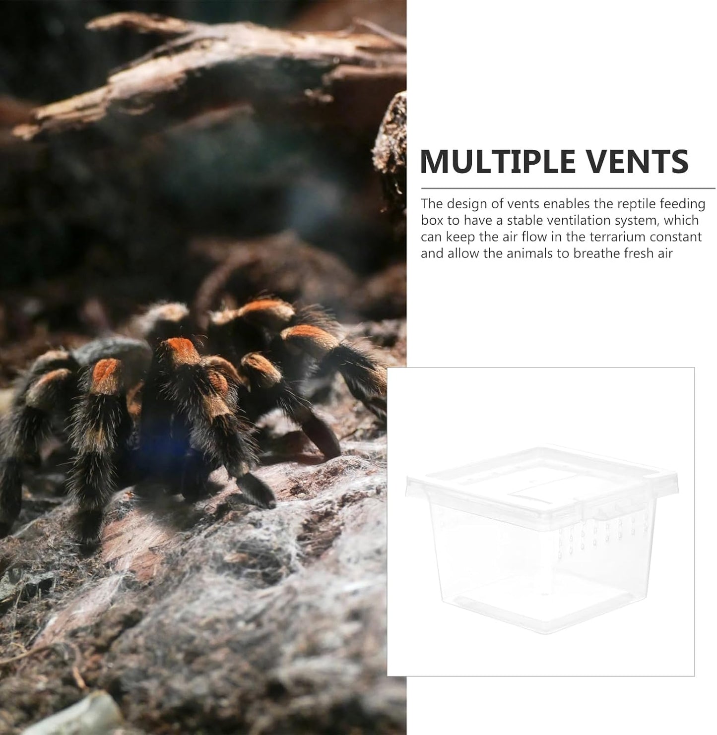 FRCOLOR Box Rearing Box Turtle Transport Container Frog Enclosure Mini Critter Keeper Transparent Animal Habitat Cage Hatching Container Hermit Crab Tank Plastic Glass Turtle Tank