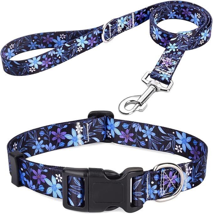 Mihqy Dog Collar and Leash Set by Mihqy