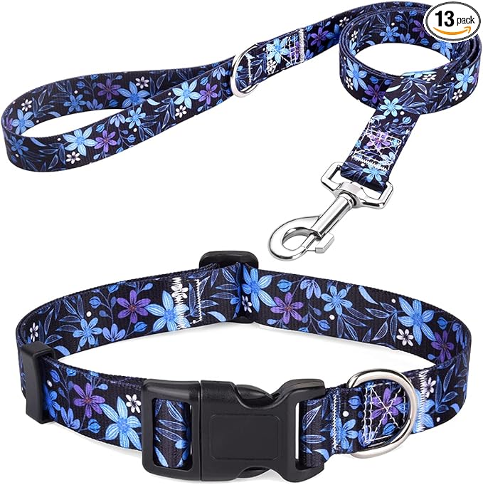 Mihqy Dog Collar and Leash Set by Mihqy