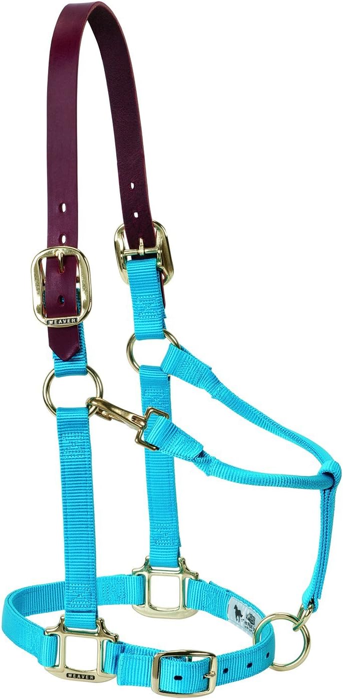 Weaver Equine Breakaway Horse Halter, Supple Leather Crown, Adjustable Chin & Throat Snap Halters for Horses, Equine Tack