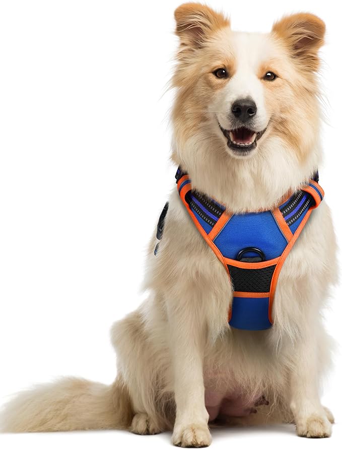 rabbitgoo Dog Harness No Pull by rabbitgoo
