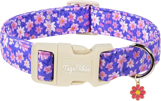 Floral Dog Collar, Spring Summer Cute Purple Flower Pet Collar by Unknown