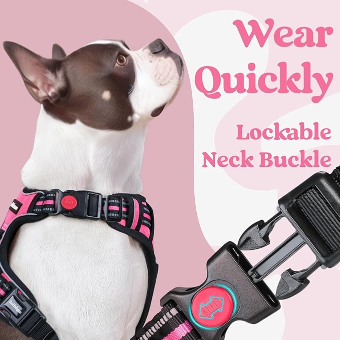 rabbitgoo Dog Harness for Large, No Pull Easy On & Off - Image 3