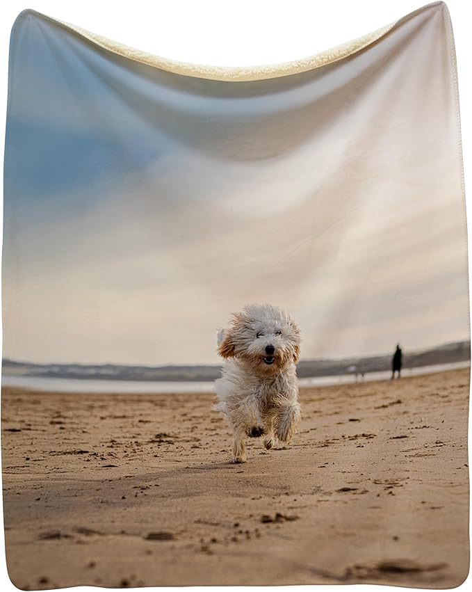 Prints Next Day – Custom 50" x 60" Sherpa Pet Lightweight Blanket by KarismaDecor