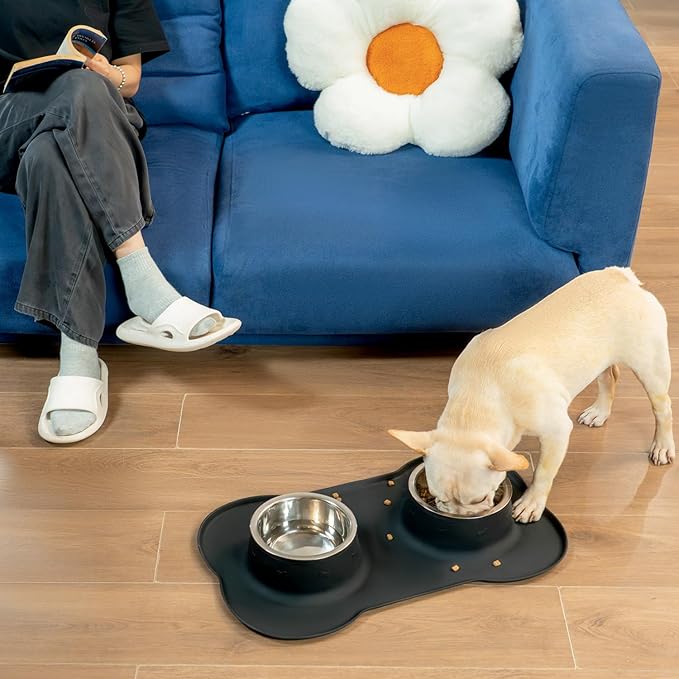 Conlun Medium Pet Feeding Station, 29oz Stainless Steel Dog Bowls Set, No Spill - Image 9