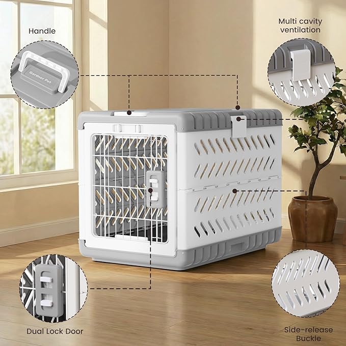 Collapsible Dog Crate for Large/Medium Dogs - Image 2