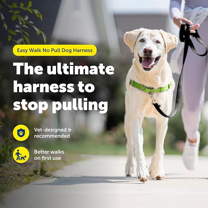 PetSafe Easy Walk No-Pull Dog Harness - Image 2