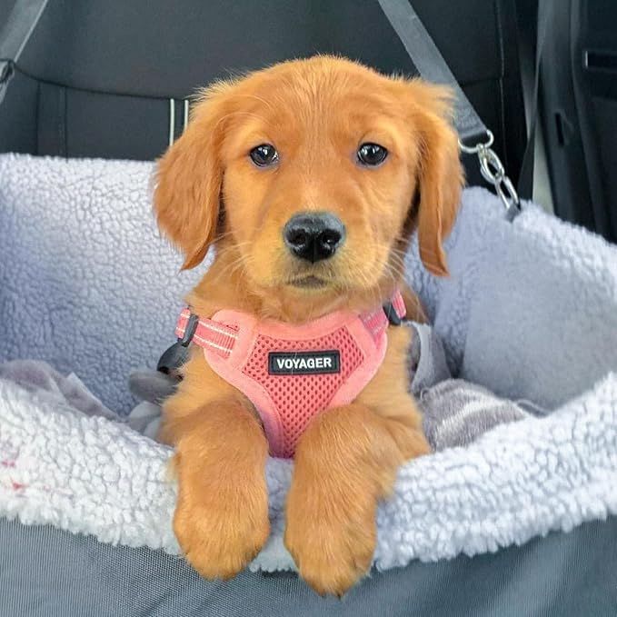 Best Pet Supplies Voyager Adjustable Step-in Flex Breathable Mesh Dog Harness - Image 7