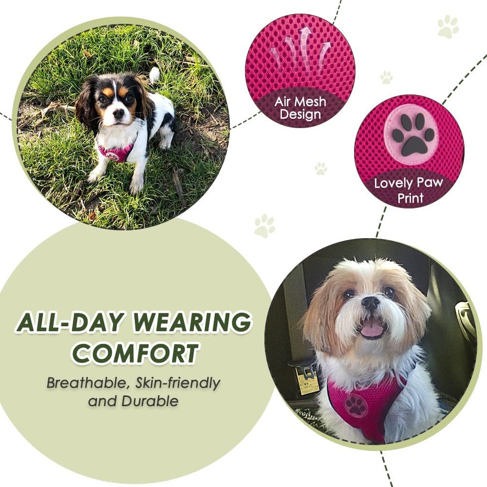 SlowTon Dog Seat Belt Harness for Car, Dog Car Harness Adjustable Mesh Breathable & Dog Seatbelt Safety Tether with Elastic Bungee for Small Medium Large Pets(Fuchsia, Double Clip, XS)