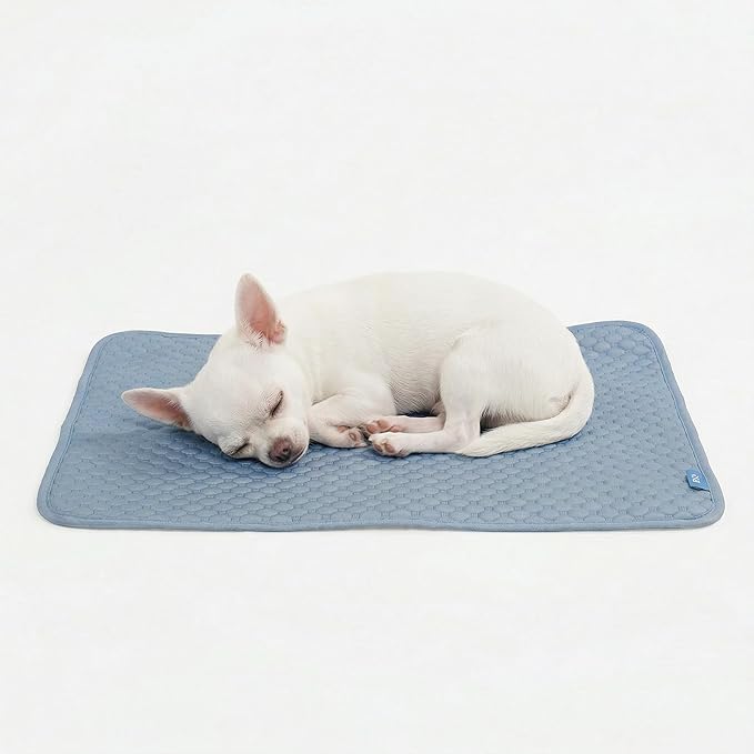 Spark Paws Cooling Mat for Dogs by SparkPaws