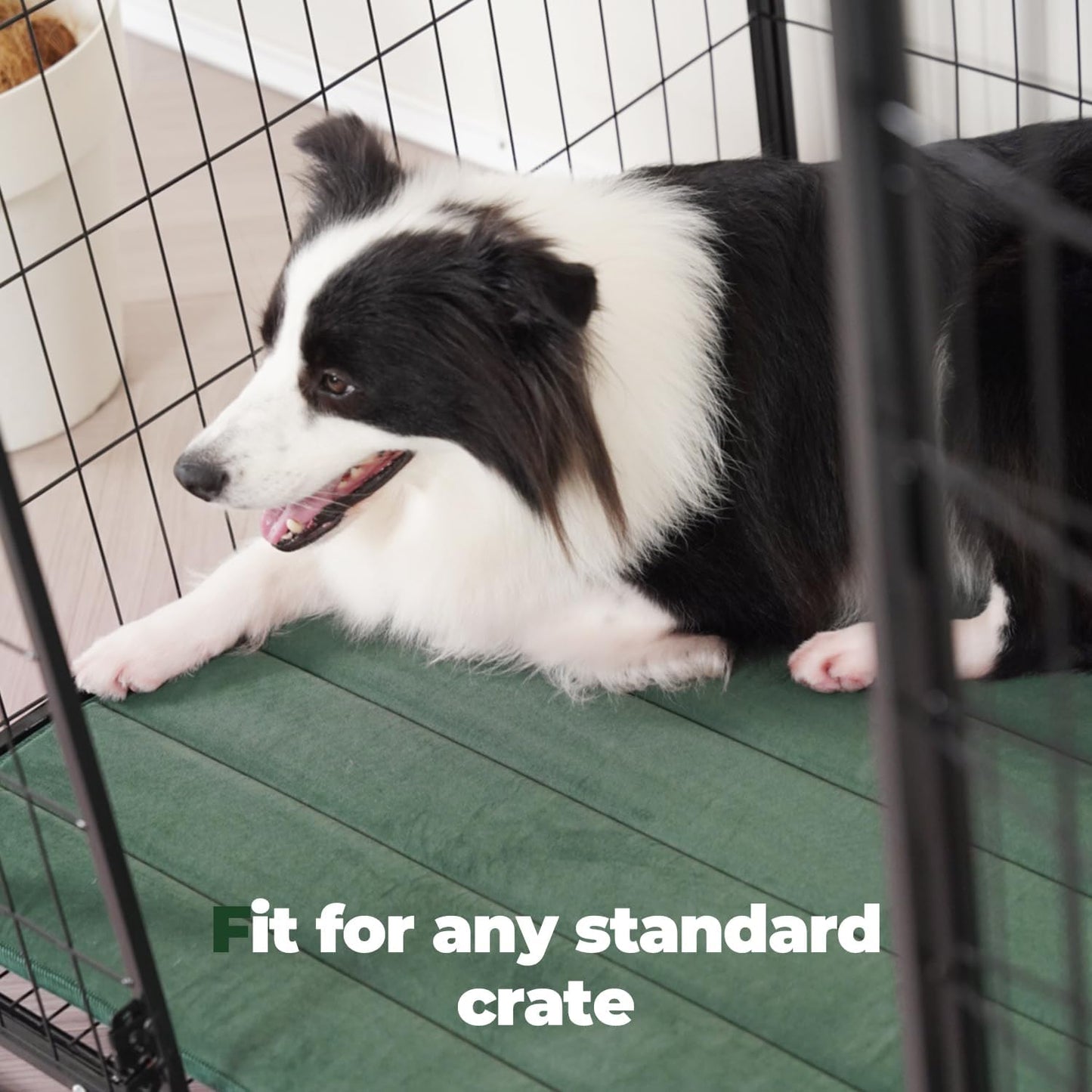 BALANCE Dog Crate Pad, Dog Foam Crate Mat Kennel Pad, Washable Water-Resistant Pet Bed Flat Dogs Cage Mat for X-Large Dogs