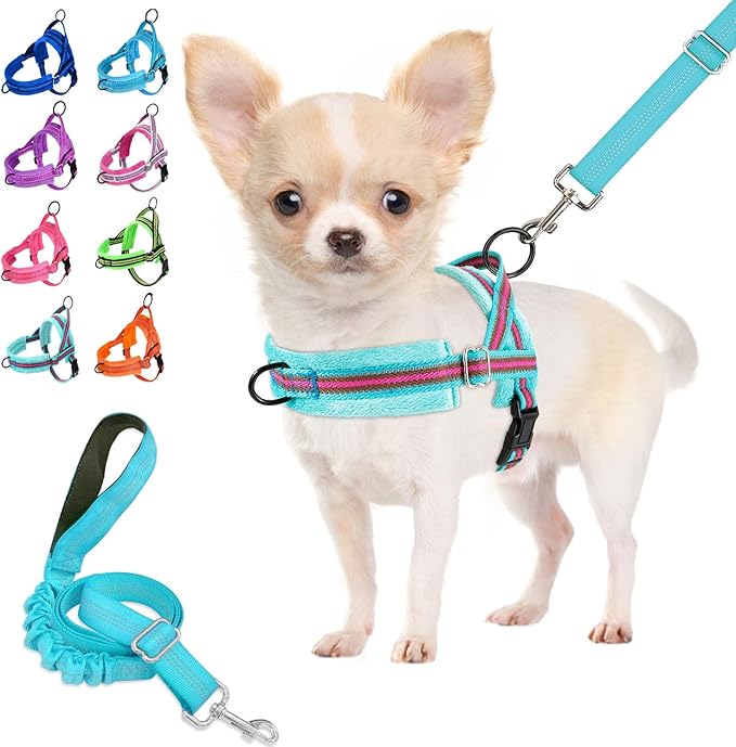 Lukovee No Pull Dog Harness and Leash Set, Soft Padded Small Dog Harness by Lukovee