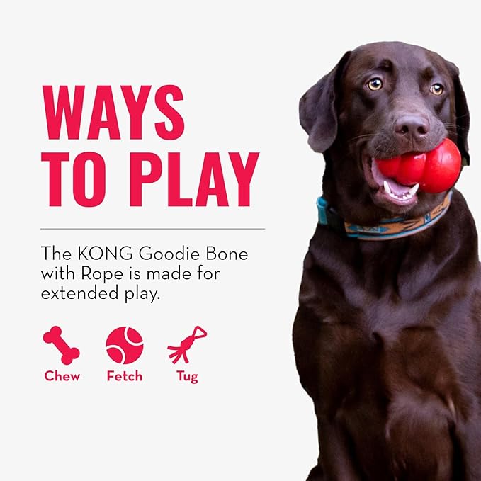 KONG Puppy Goodie Bone with Rope - Image 4