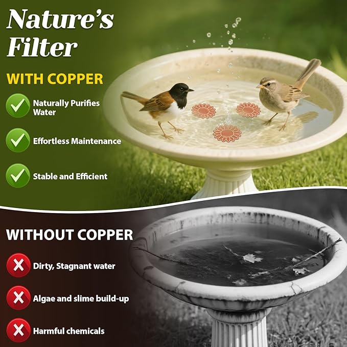 3Pcs Bird Bath Copper Purification Disk 99.99% Pure Copper Water Cleaning Discs - Image 4