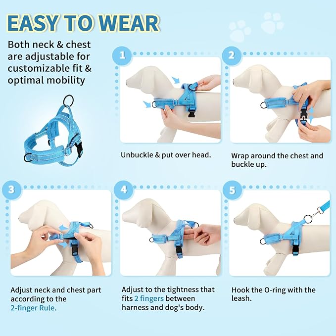 Lukovee No Pull Dog Harness and Leash Set, Soft Padded Small Dog Harness - Image 9