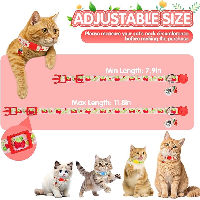 EXPAWLORER Flower Cat Collar Breakaway - Image 5