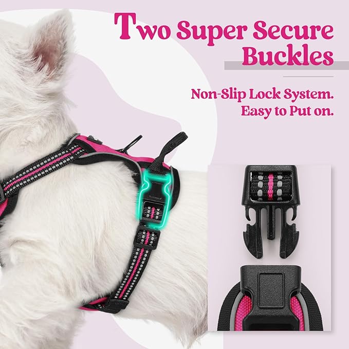 rabbitgoo Dog Harness No Pull - Image 3