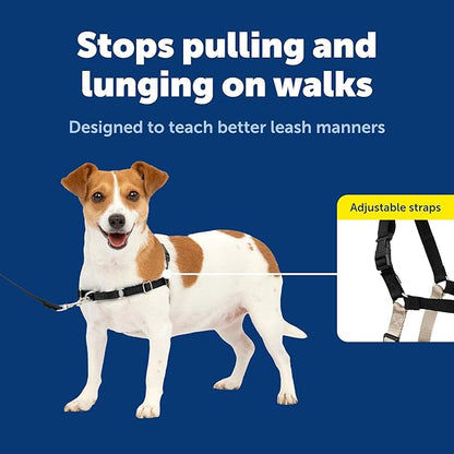 PetSafe Easy Walk No-Pull Dog Harness - Image 4