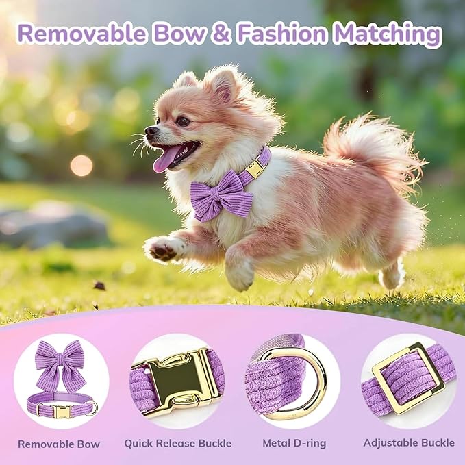 Small Dog Collar Harness and Leash Set - Image 4