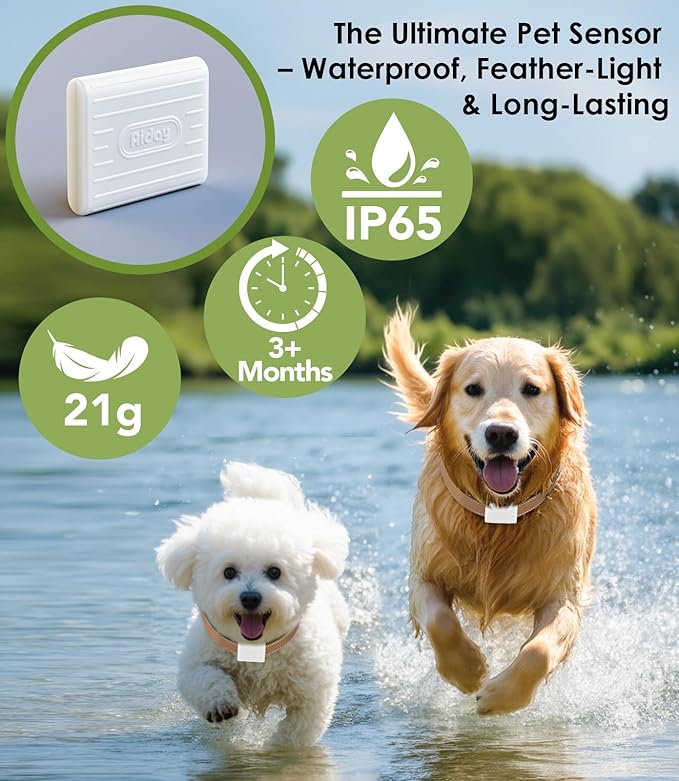 Automatic Dog Door for Wall - Image 4