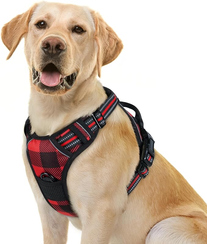 rabbitgoo Dog Harness No Pull by rabbitgoo