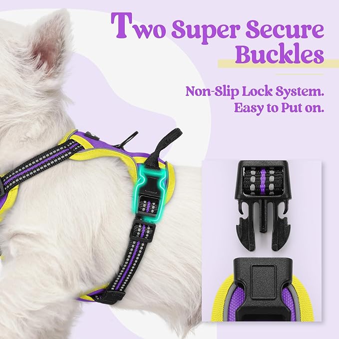 rabbitgoo Dog Harness No Pull - Image 3