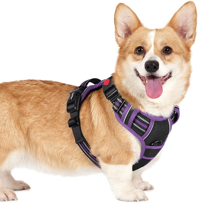 rabbitgoo Dog Harness Small Sized, No Pull Easy On & Off by rabbitgoo