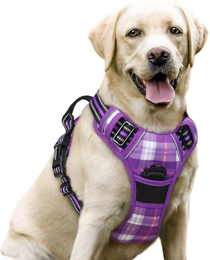 rabbitgoo Dog Harness No Pull by rabbitgoo