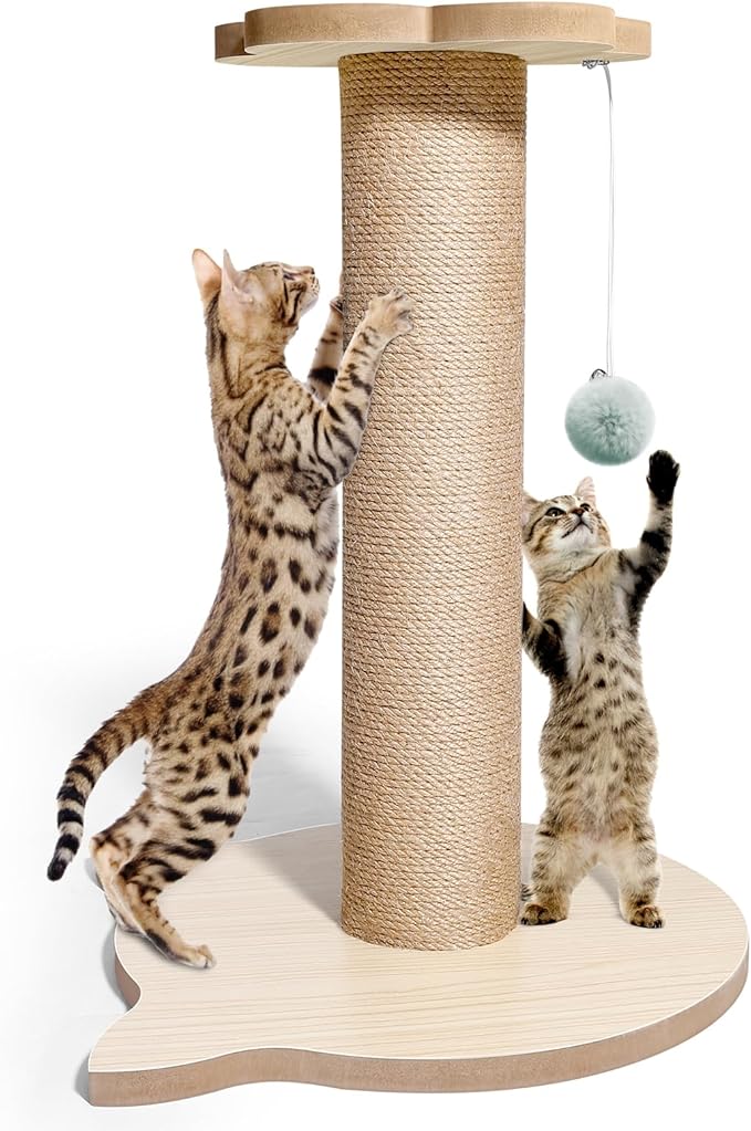 18” Tall Cat Tree for Kittens, Jute Scratching Post by Giliglue