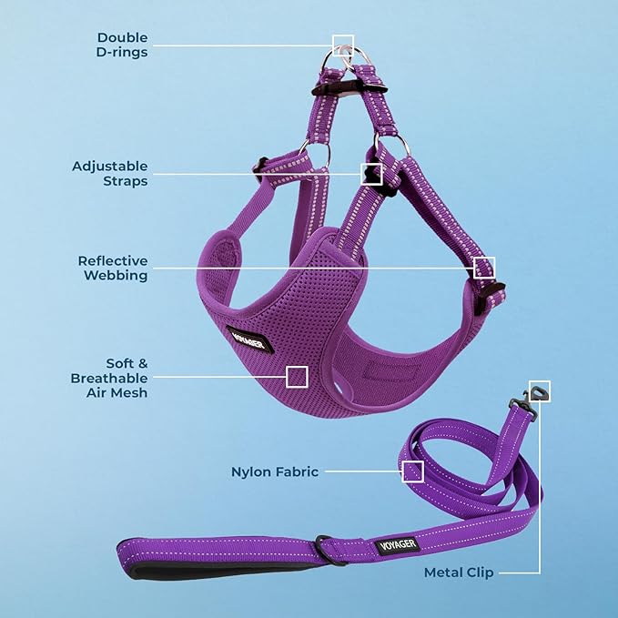 Best Pet Supplies Voyager Adjustable Step-in Flex Breathable Mesh Dog Harness - Image 3