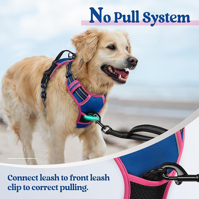 rabbitgoo Dog Harness No Pull - Image 5