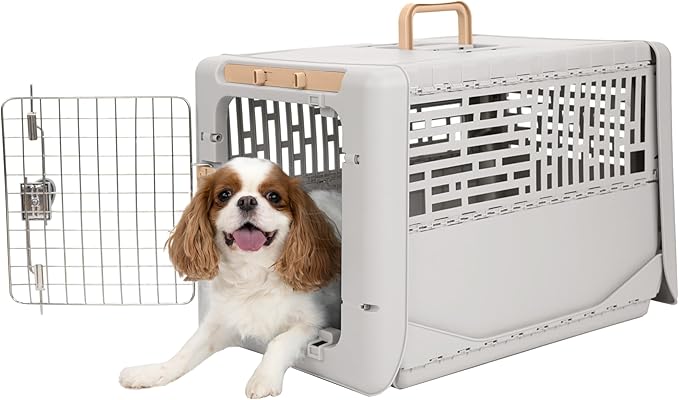SportPet Designs Collapsible Small Pet Travel Carrier, Hard-Sided Kennel by SportPetDesigns