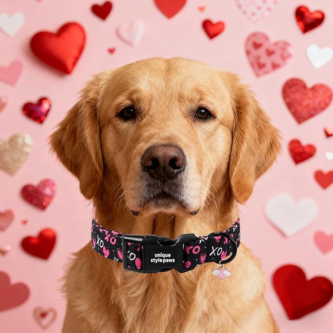Unique Style Paws Valentine Dog Collar Plastic Buckle - Image 4