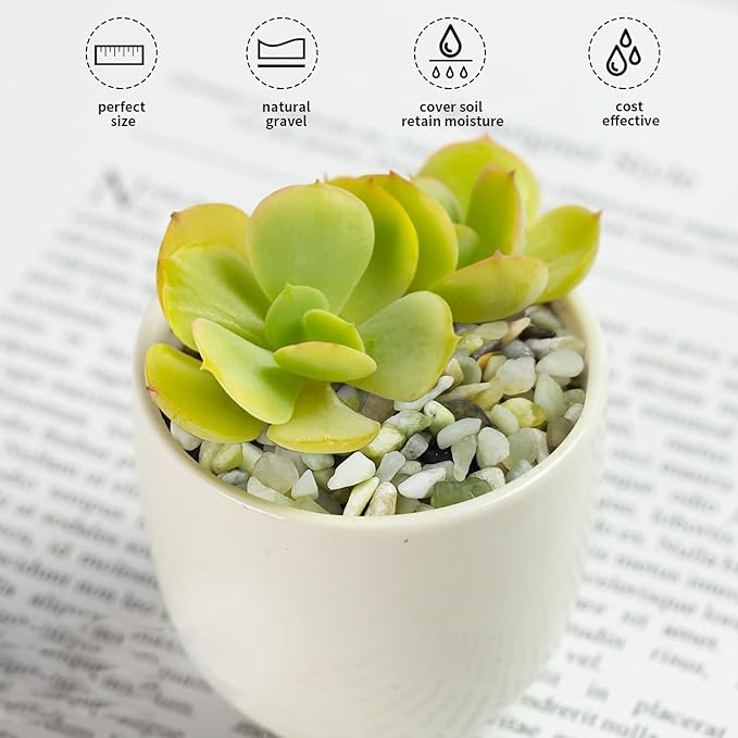 FANTIAN 5 lbs Jade Pebbles for Indoor Plants, 1/4 inch Polished Gravel Rocks - Image 5