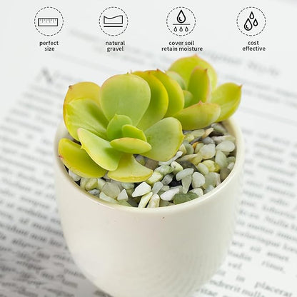 FANTIAN Jade Pebbles for Indoor Plants, 1/4 Inch Polished Green Pea Gravel - Image 4