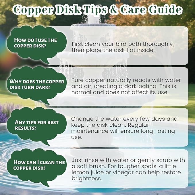 Bird Bath Copper Disk, 4 Inch 0.6mm Thick 99.9% Pure Copper Disc - Image 7