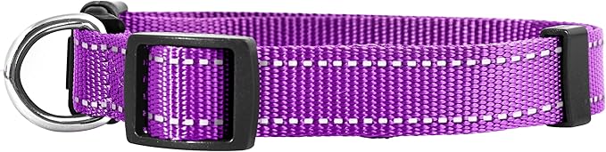 Native Pup Reflective Dog Collar, Bright Glow Colors - Image 2