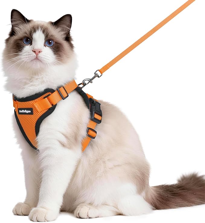 rabbitgoo Cat Harness and Leash Set, Escape Proof Vest Harness by rabbitgoo