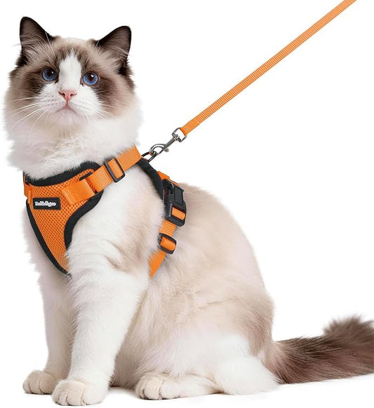 rabbitgoo Cat Harness and Leash Set, Escape Proof Vest Harness by rabbitgoo